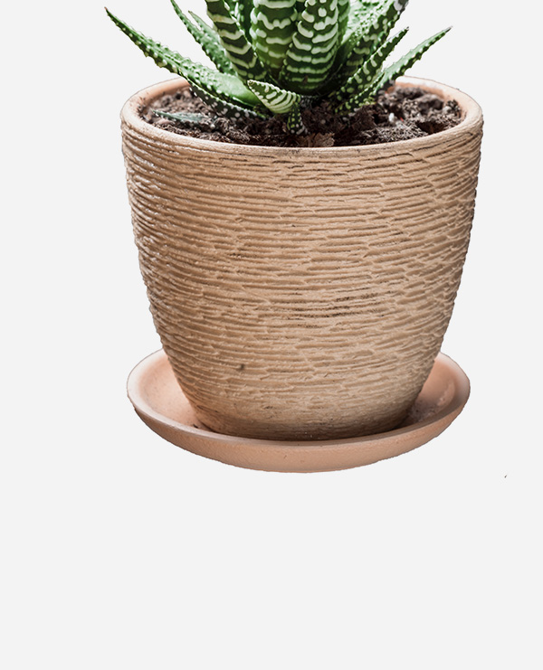 shop-img-12-gallery-45