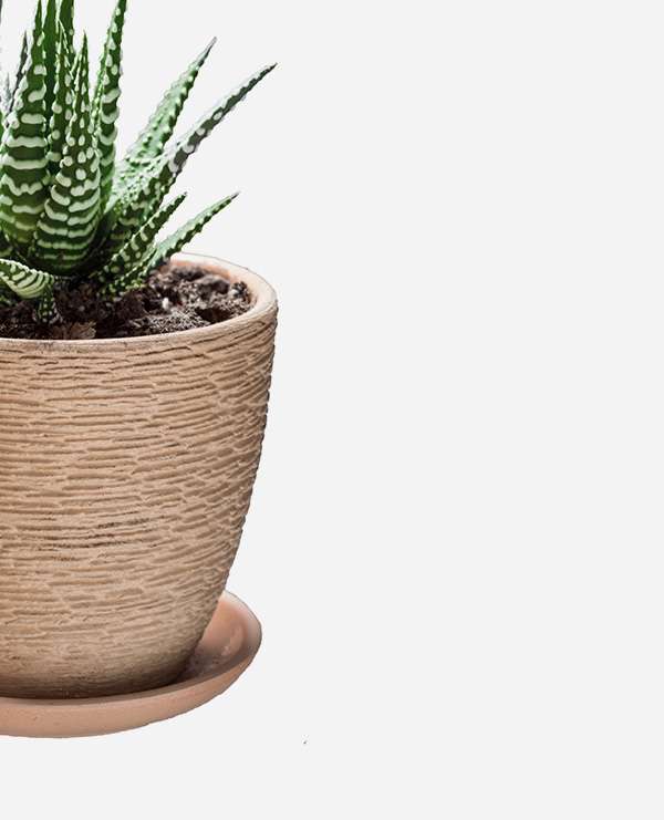 shop-img-12-gallery-46