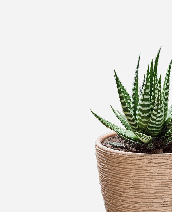 shop-img-12-gallery-48