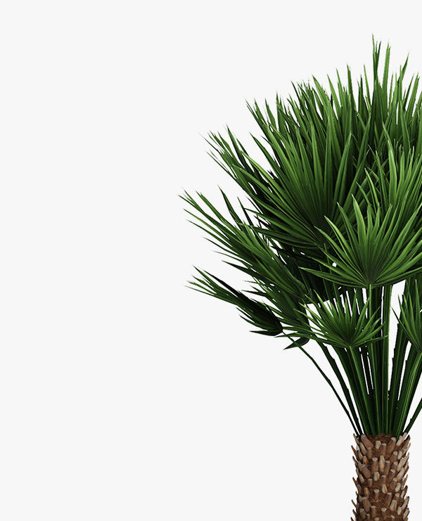 shop-img-3-gallery-11