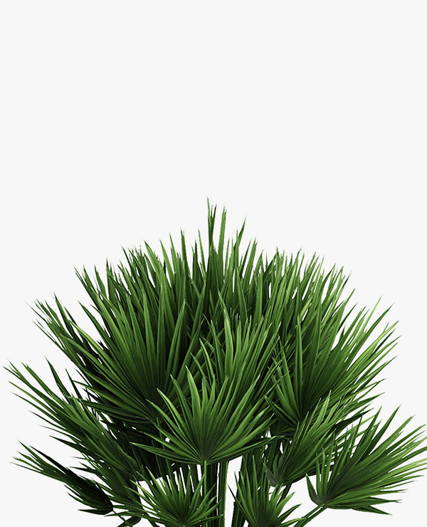 shop-img-3-gallery-12