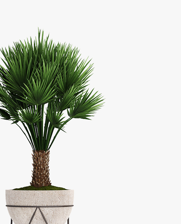 shop-img-3-gallery-9