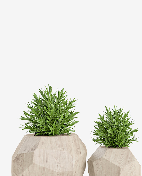 shop-img-9-gallery-36